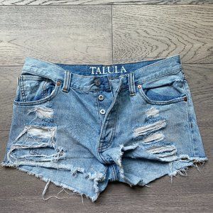 Aritzia Talula Denim Jean Shorts
